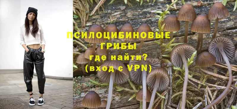 Галлюциногенные грибы Magic Shrooms  ОМГ ОМГ как войти  Иваново  хочу наркоту 